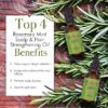 Mielle Organics Mielle/Rosemary Mint/Scalp and Hair Strengthening Oil/Healthy Hair Growth / 2 oz (59ml) / (Pack 3), 59 ml (Pack of 3), 2.0 ounces, 177.44 millilitre, 3 - Image 3
